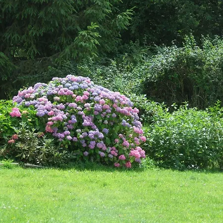 Bed & Breakfast D'hotes Du Valvion *