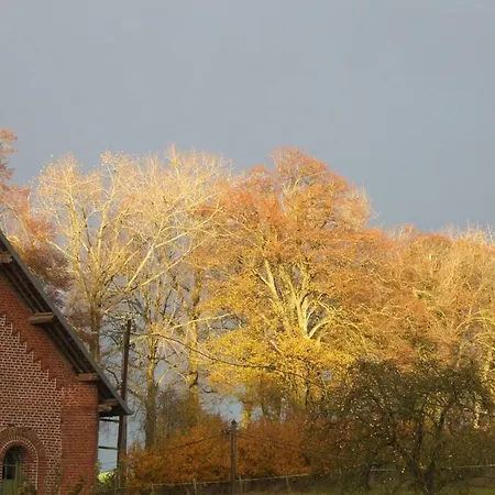 D'hotes Du Valvion Bed & Breakfast Beauquesne